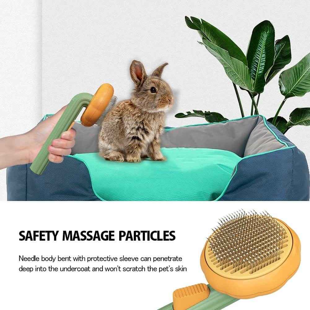 Pet Pumpkin Brush – Self-Cleaning Slicker