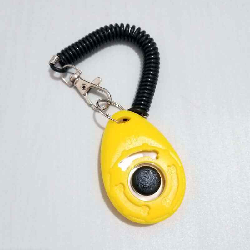 Dog Training Clicker: Effective Tool