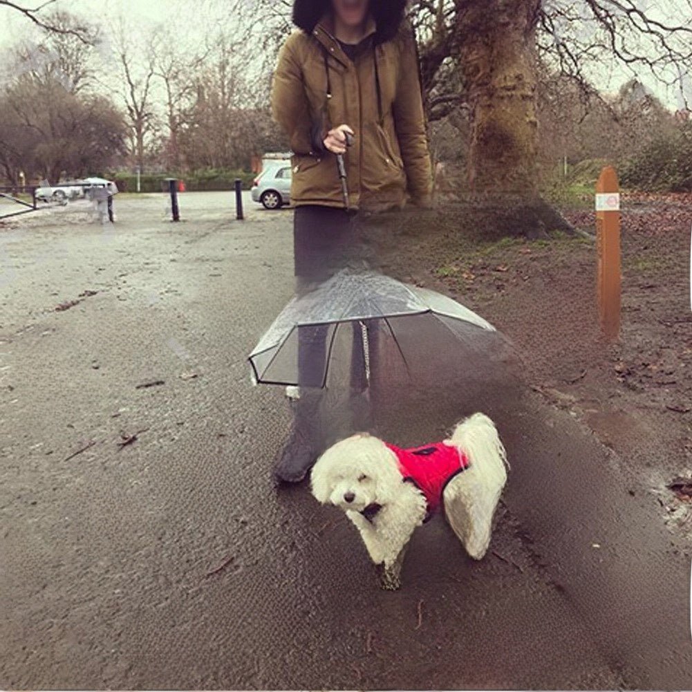 Transparent Pet Umbrella with Leash – Waterproof PVC Dog Rain Gear
