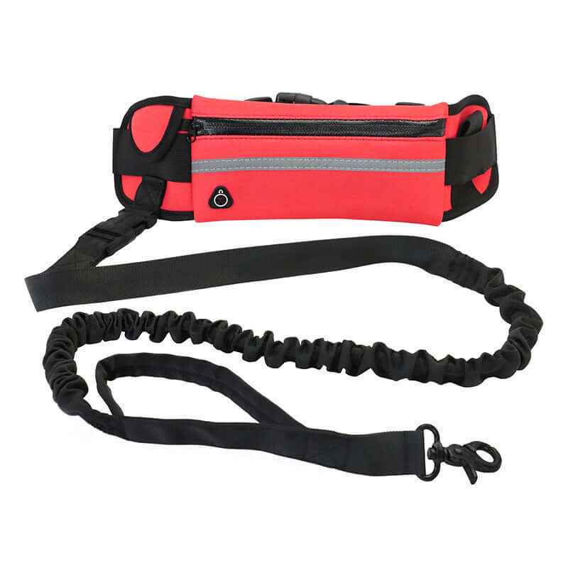 Hand-Free Dog Leash: Bungee Training Belt