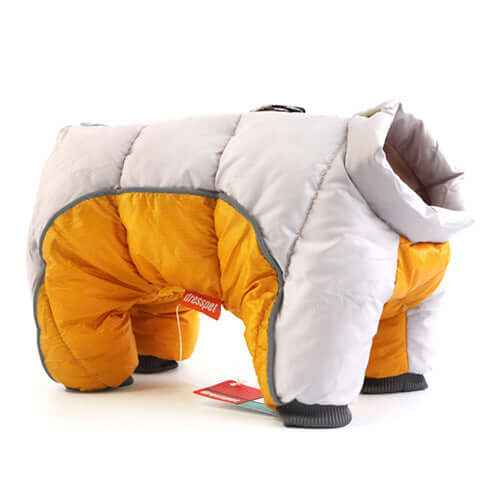 Pet Winter Down Jacket – Small Dogs