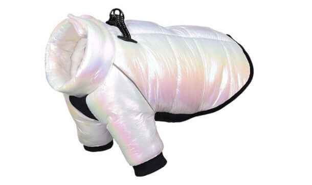 Waterproof Winter Dog Jacket – Small Dogs