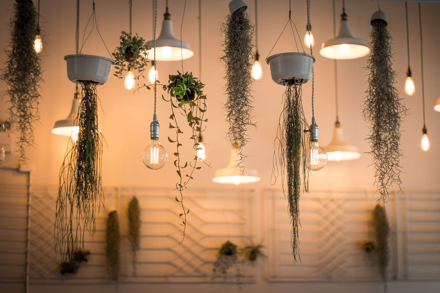 Stylish hanging lights with plants for Home & Outdoor Lighting Essentials