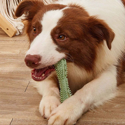 Dog Chew Toy - Durable Teeth Cleaning TPR