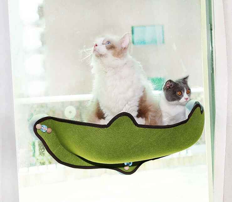 Window Sill Cat Hammock Bed – Sturdy EVA