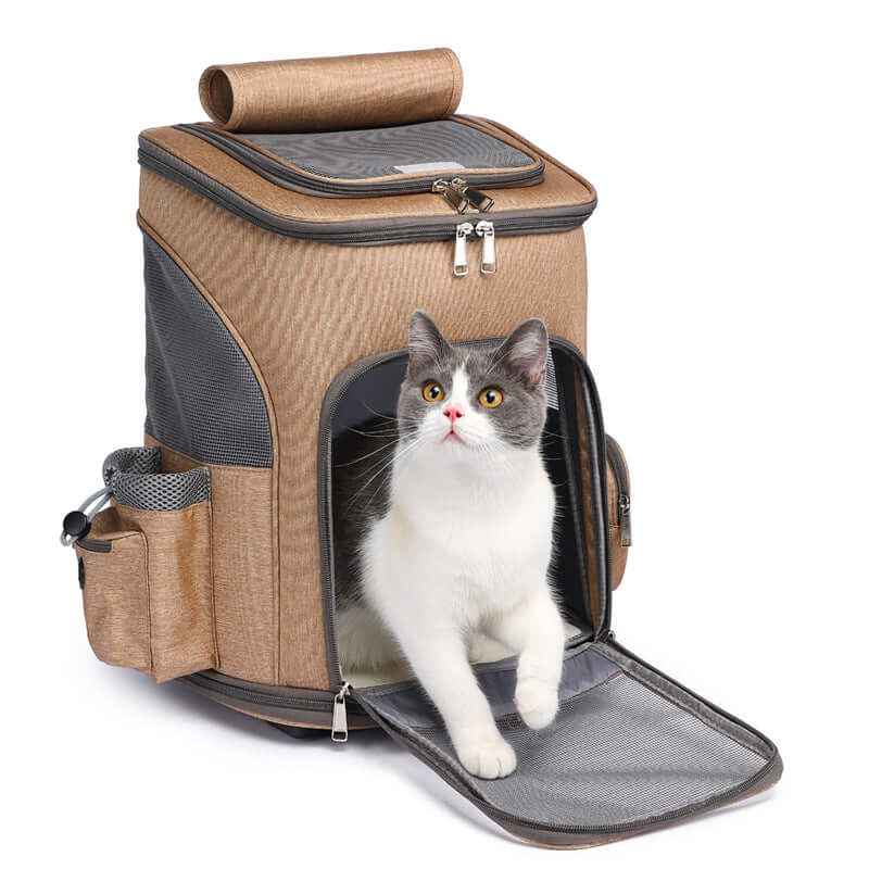 Cats Foldable Traveling Backpack Trolley