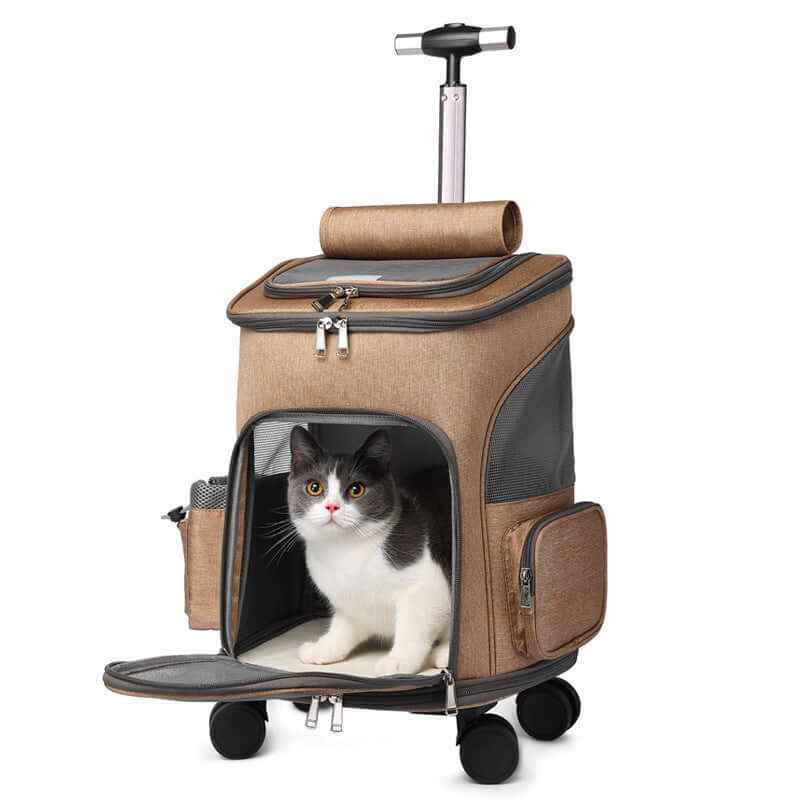Cats Foldable Traveling Backpack Trolley