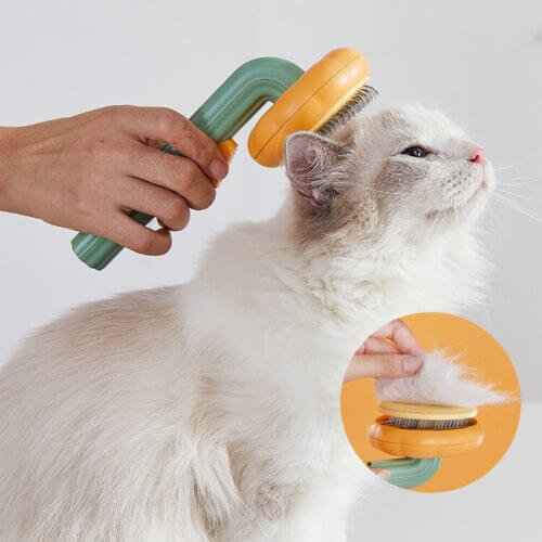 Pet Pumpkin Brush – Self-Cleaning Slicker