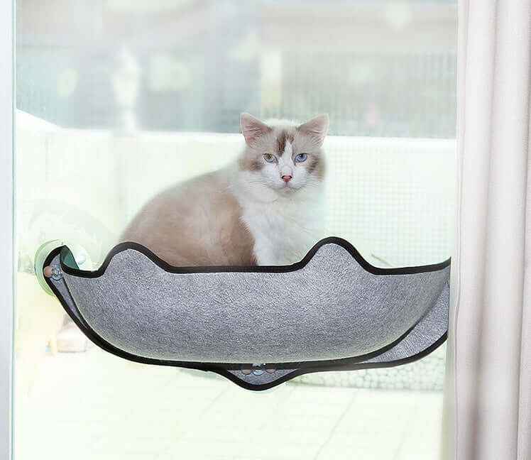 Window Sill Cat Hammock Bed – Sturdy EVA