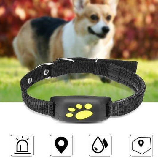 Smart GPS Pet Tracker for Dogs & Cats – Real - Time Location Tracker