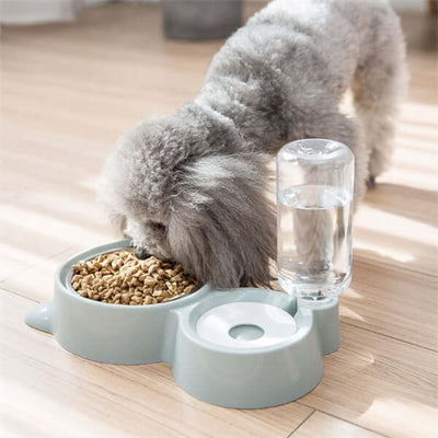 Small grey dog eating from a Stainless Steel Dog Bowl with water bottle attachment, on a wooden floor indoors.