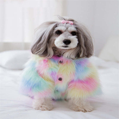 Pet Winter Jacket: Front view.