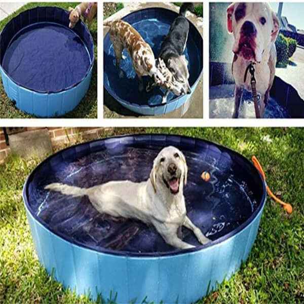 Foldable Pet Dog Pool – Large Bathing Pool