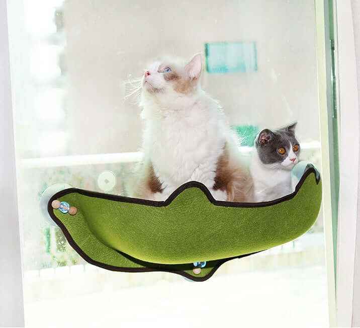 Window Sill Cat Hammock Bed – Sturdy EVA