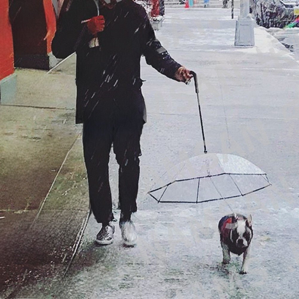 Transparent Pet Umbrella with Leash – Waterproof PVC Dog Rain Gear