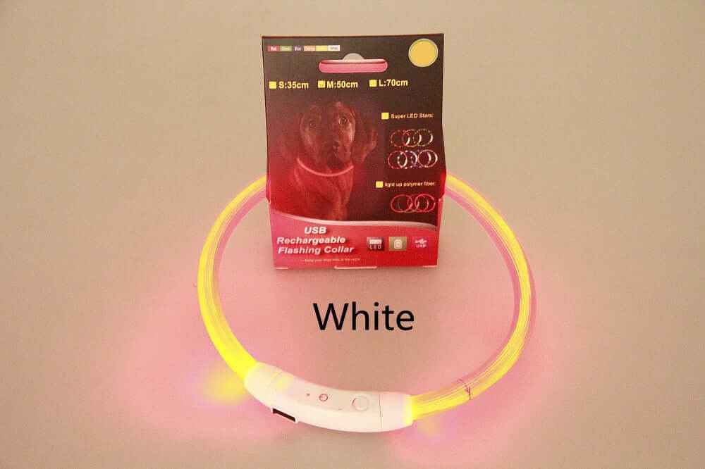 USB LED Dog Collar – Rechargeable Necklace