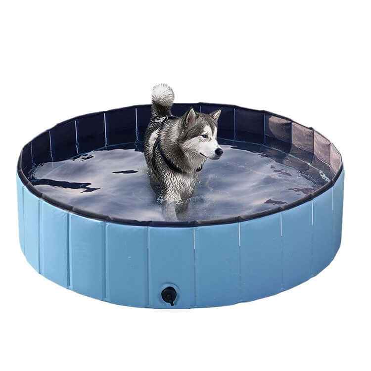 Foldable Pet Dog Pool – Large Bathing Pool