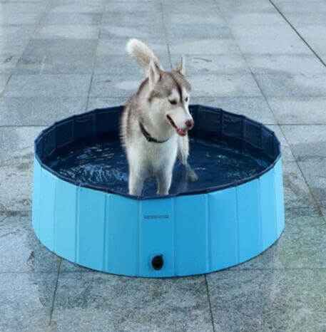 Foldable Pet Dog Pool – Large Bathing Pool
