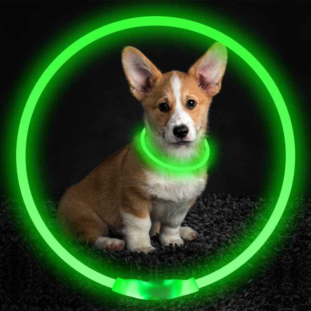 USB LED Dog Collar – Rechargeable Necklace