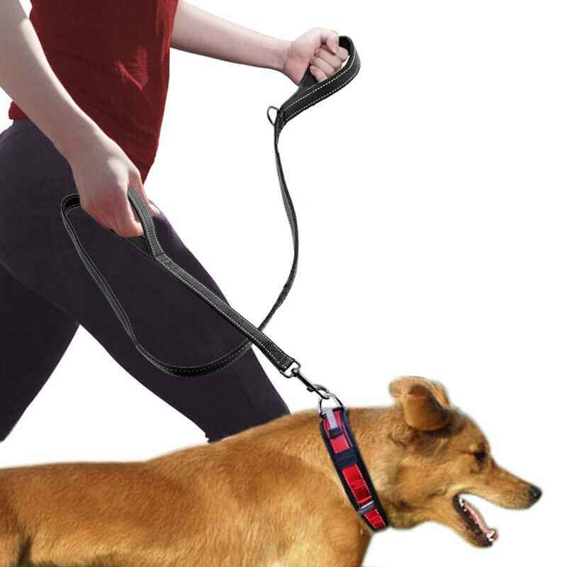 Double Handle Dog Leash – Walking Lead