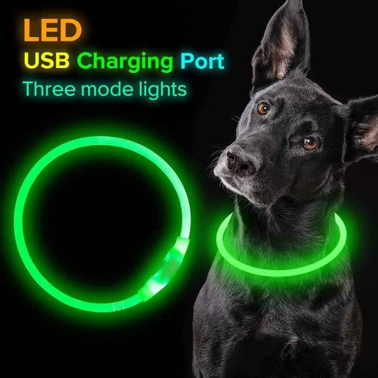 USB LED Dog Collar – Rechargeable Necklace