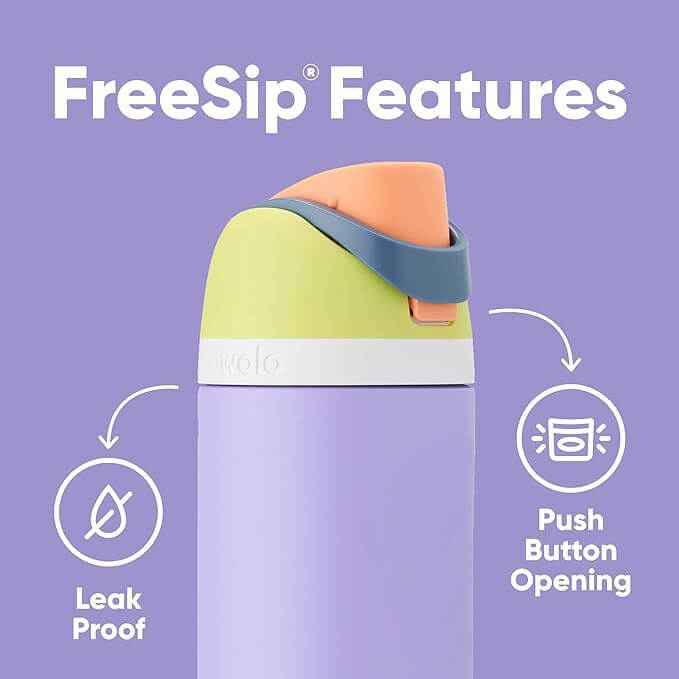 Insulated Water Bottle - Straw, 16oz-32oz
