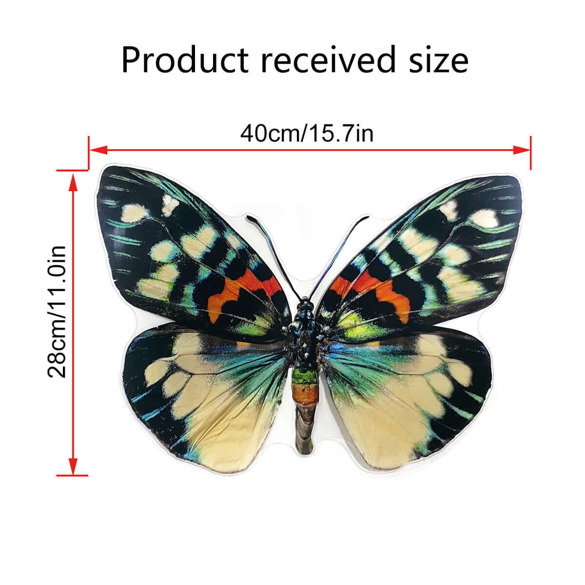 Butterfly Wall Stickers in multicolor design, removable home decor decal measuring 40cm by 28cm.