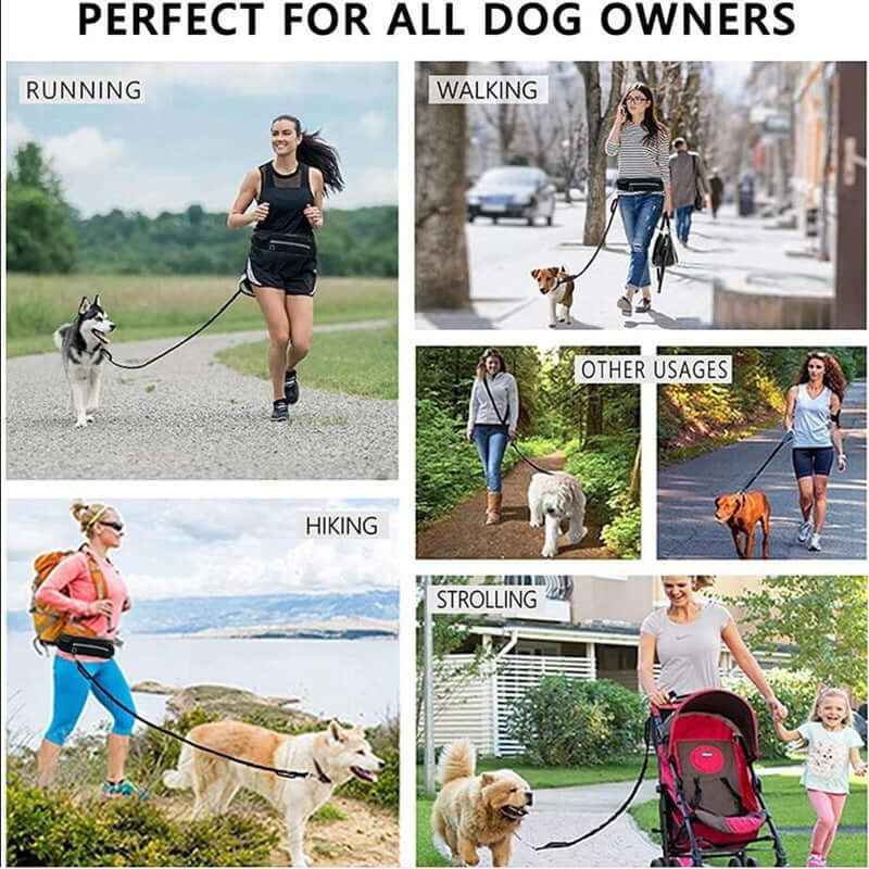 Hand-Free Dog Leash: Bungee Training Belt