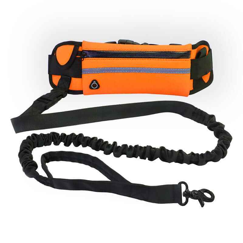 Hand-Free Dog Leash: Bungee Training Belt