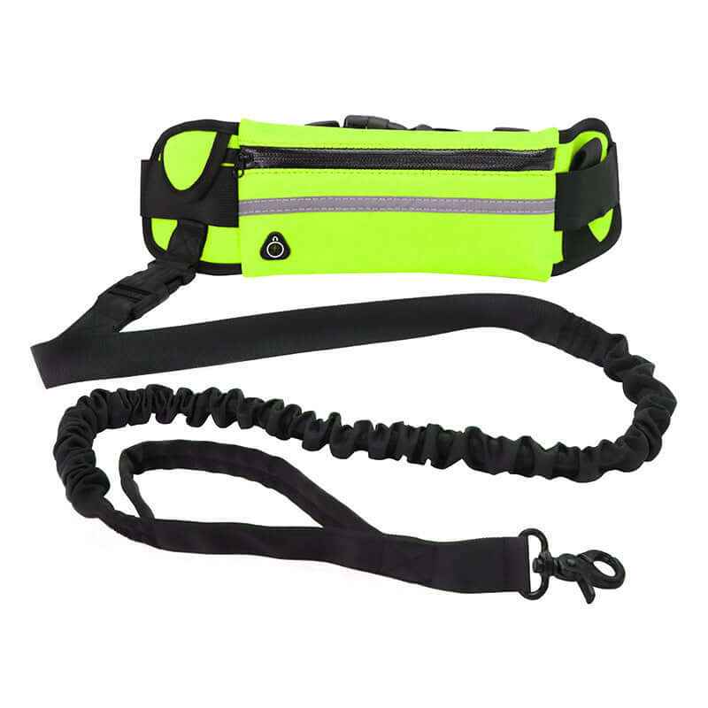 Hand-Free Dog Leash: Bungee Training Belt