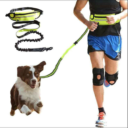 Hand-Free Dog Leash: Bungee Training Belt