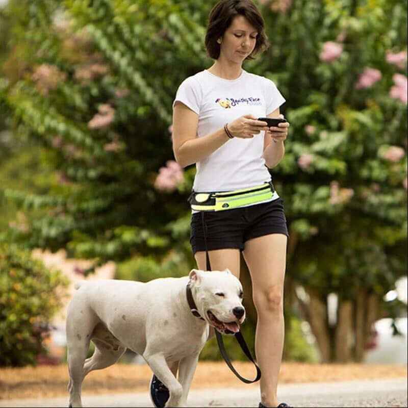 Hand-Free Dog Leash: Bungee Training Belt