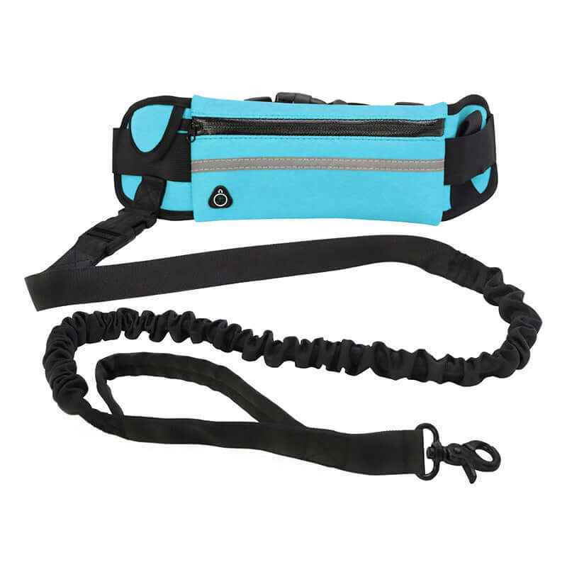 Hand-Free Dog Leash: Bungee Training Belt