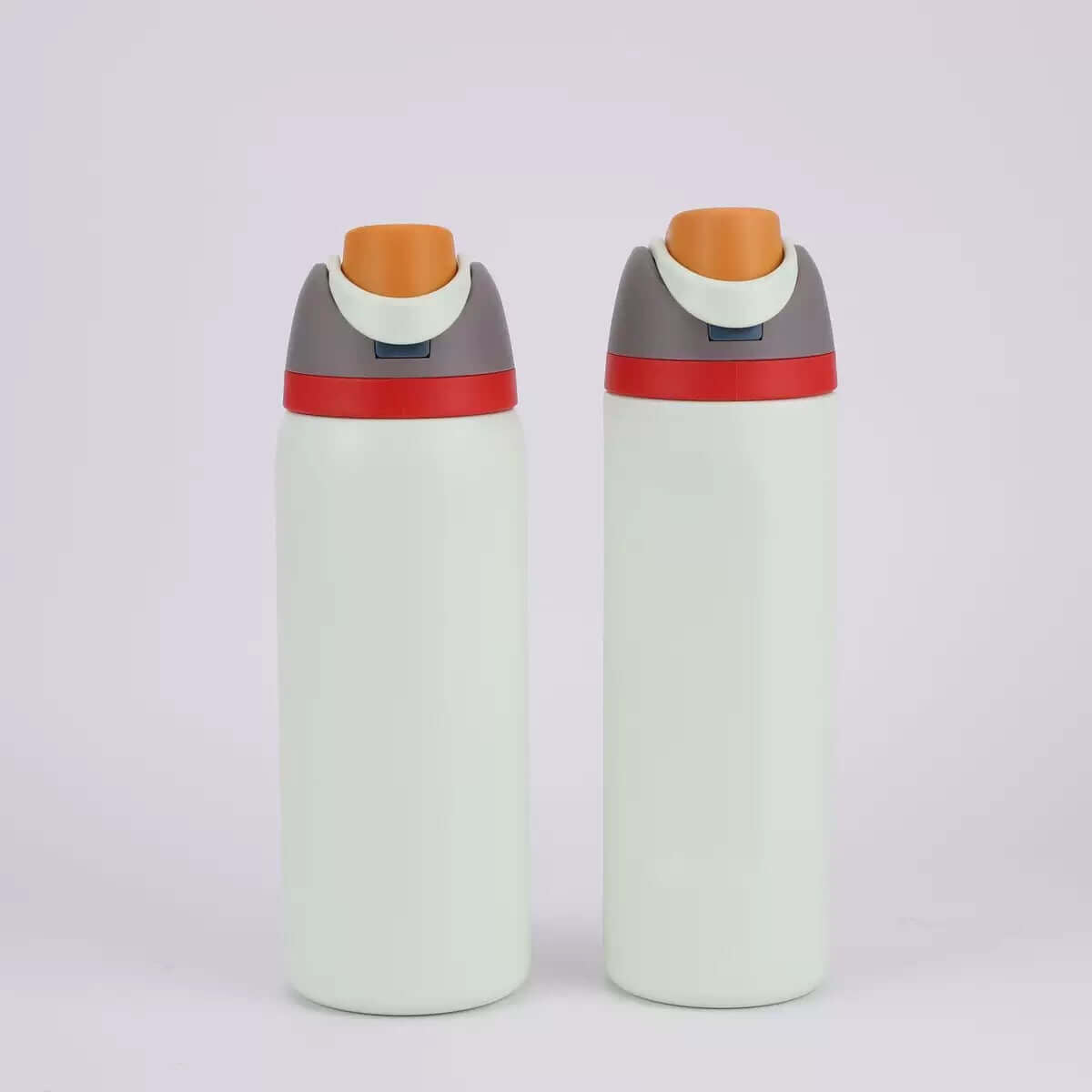 Insulated Stainless Steel Water Bottle with straw for hot or cold drinks