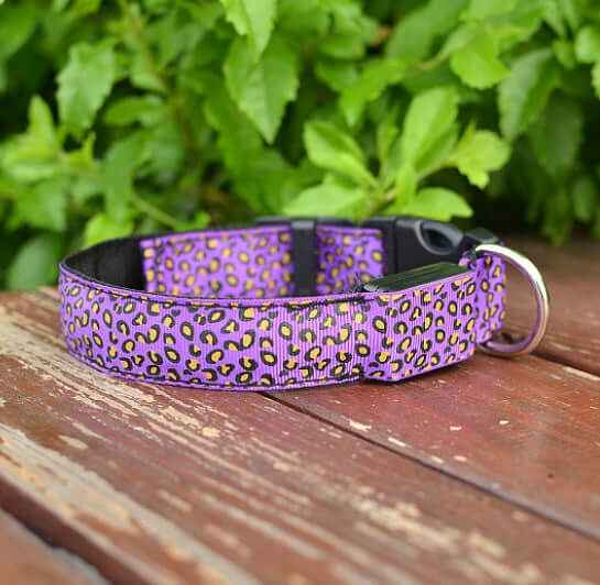 LED Dog Collar – Adjustable
