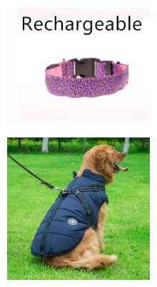 LED Dog Collar – Adjustable