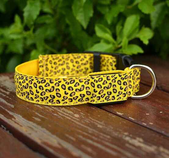 LED Dog Collar – Adjustable