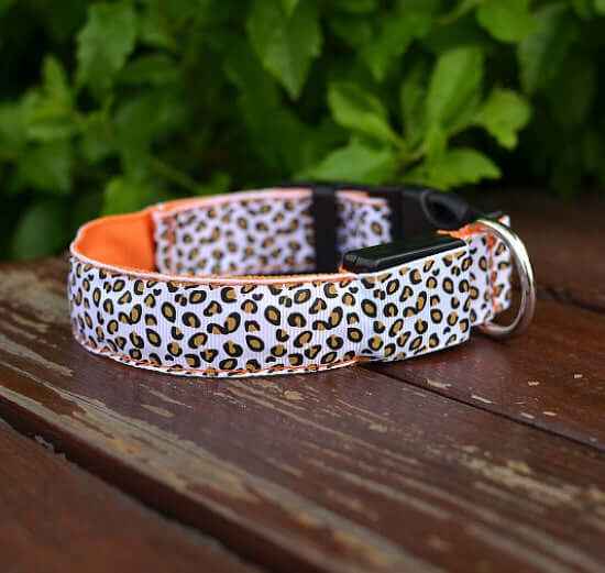 LED Dog Collar – Adjustable