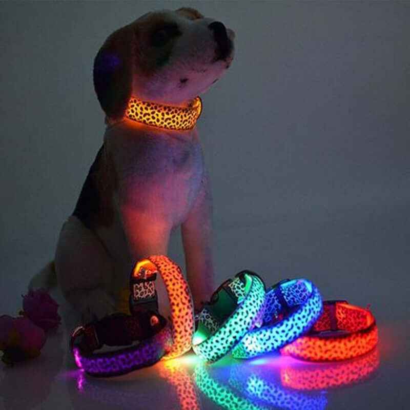 LED Dog Collar – Adjustable