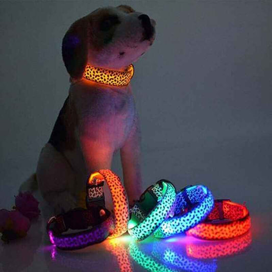LED Dog Collar – Adjustable