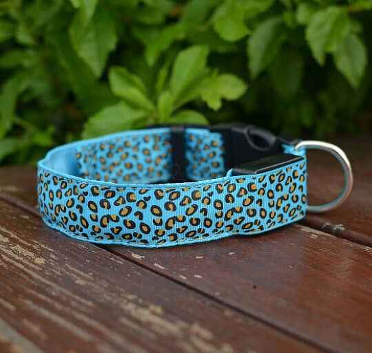 LED Dog Collar – Adjustable