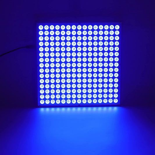 A square LED tanning lamp panel glows with bright blue light from a grid of small bulbs.