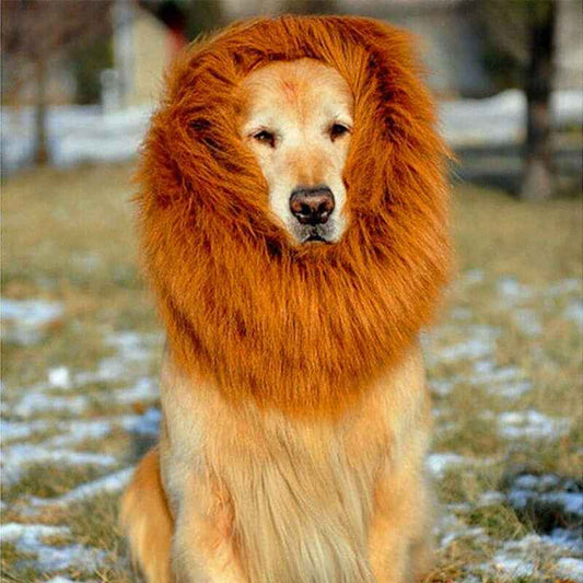 Lion Mane Wig - Large Dogs Elegant Costume