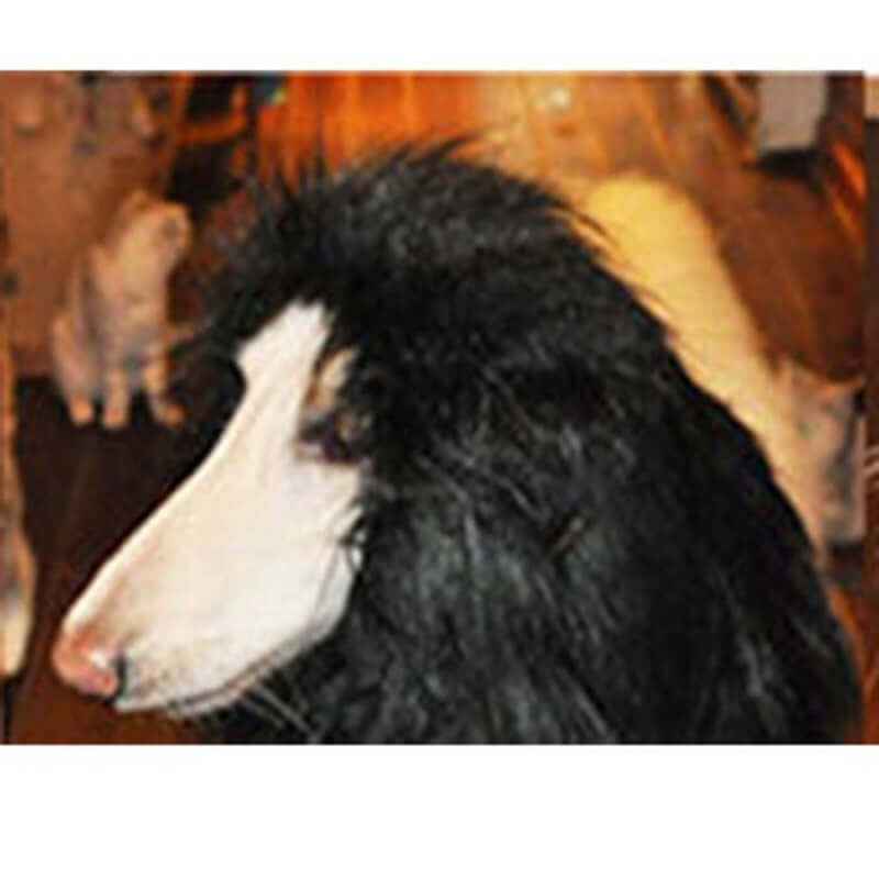 Lion Mane Wig - Large Dogs Elegant Costume