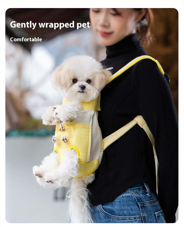 Pet carrier makes cats and small dogs comfortable in it.