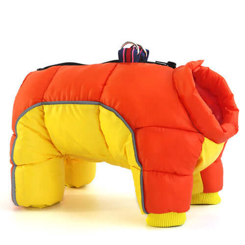 Pet Winter Down Jacket, thick warm cotton coat for small dogs, in vibrant orange & yellow, ensuring maximum warmth & comfort.