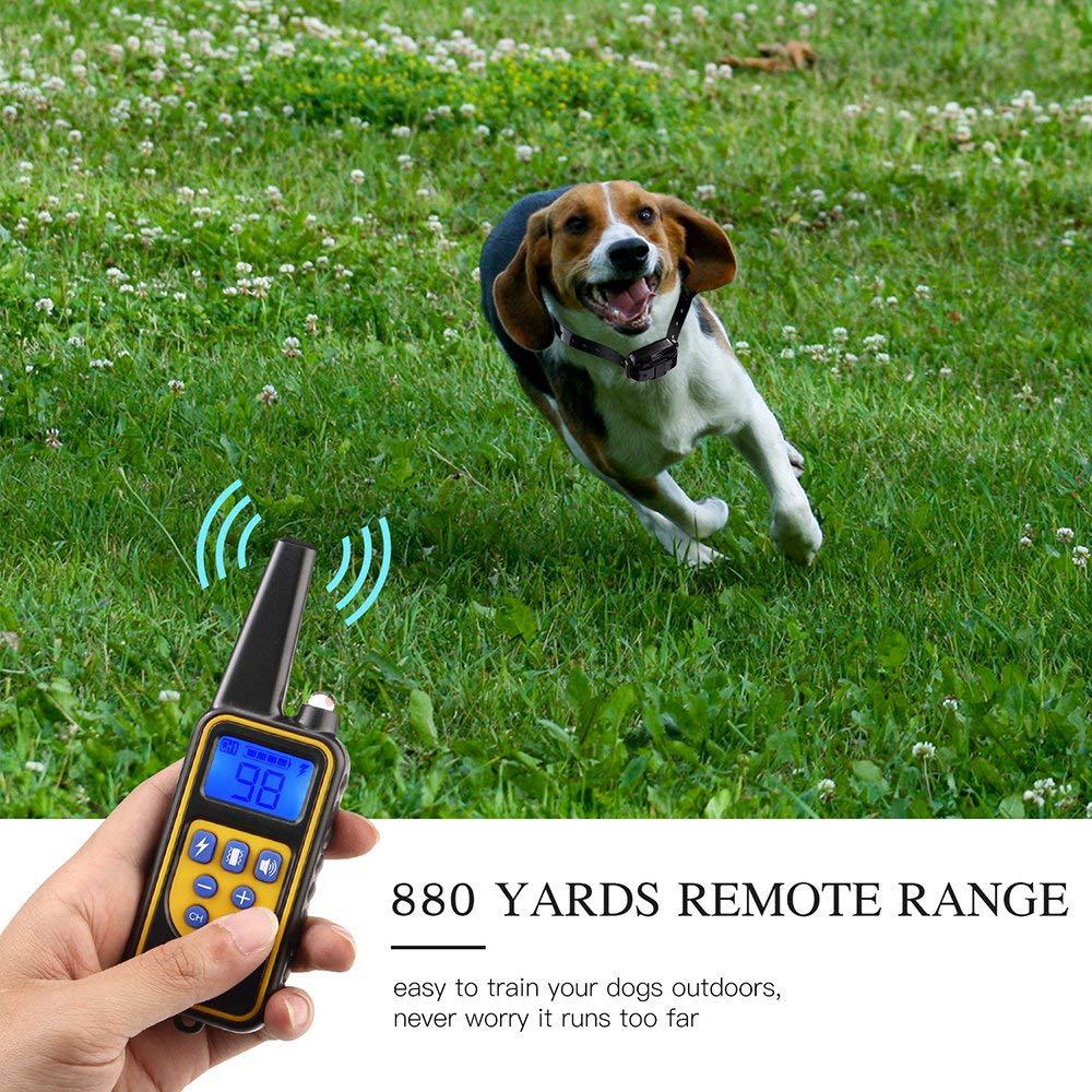 A hand holds a remote control for a rechargeable dog training collar while a beagle runs in a field.