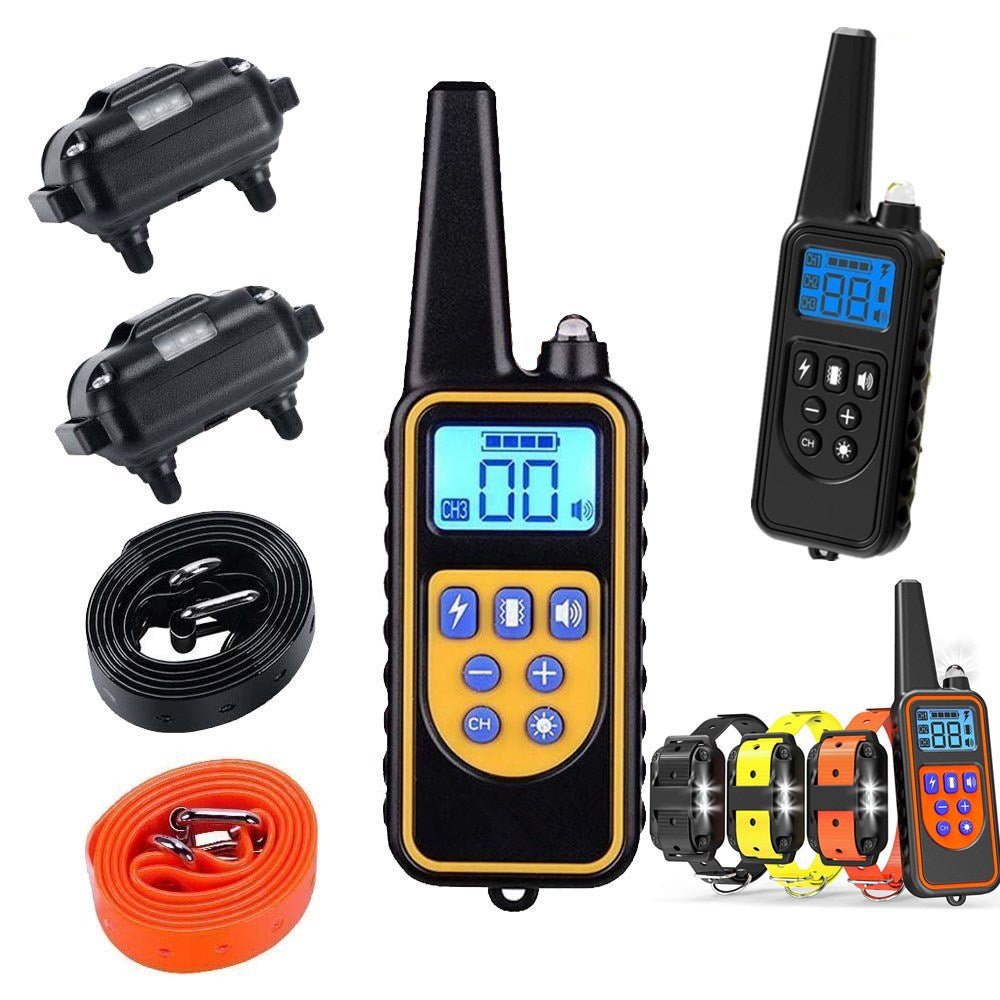 Rechargeable dog training collar kit with remote, two receivers, and black and orange TPU belts.