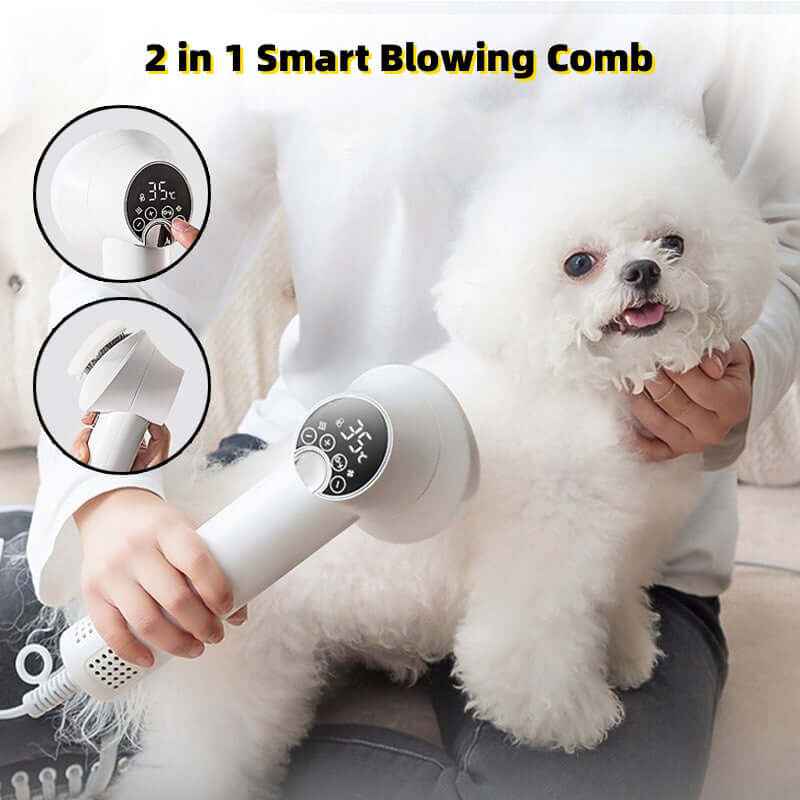 Smart Pet Hair Dryer: Dogs & Cats