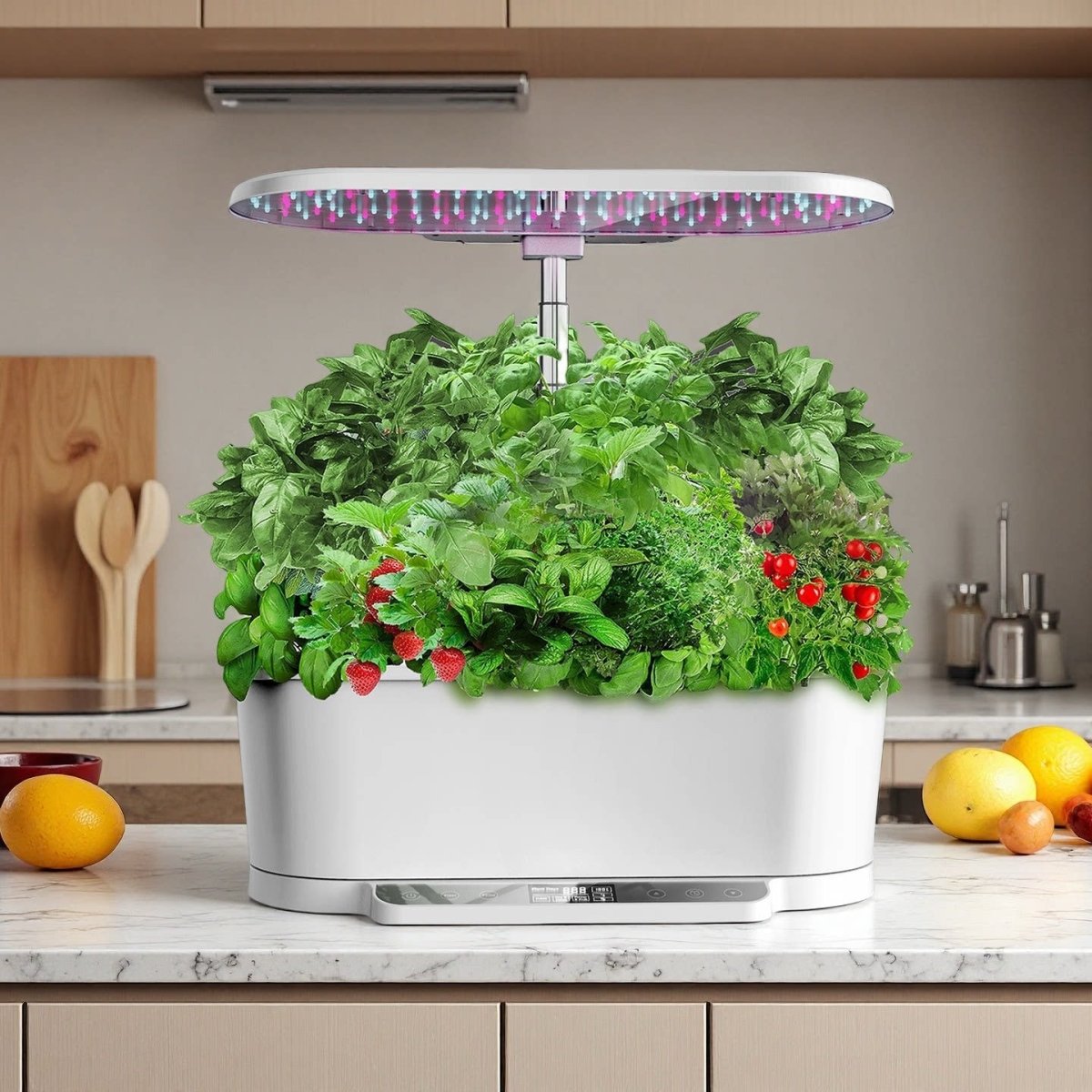 Smart Planting Machine - DoubleJoy Store